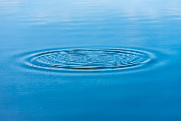 Diverging circles on the water surface of the lake. Outdoors.