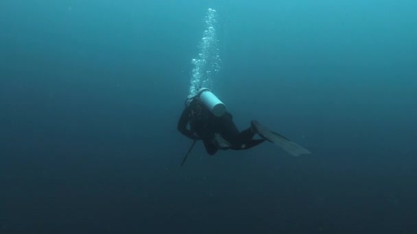 Εκπληκτική Υποβρύχια Θέα Ενός Δύτη Που Ανακαλύπτει Βάθη Του Ειρηνικού — Αρχείο Βίντεο