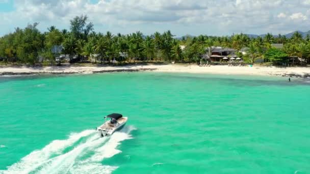 Strzał Drona Zbliża Się Palm Domów Pięknej Plaży — Wideo stockowe