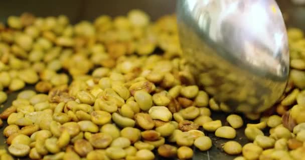 Metallic Spoon Gently Stirs Roasted Coffee Seeds Pan — Stock Video