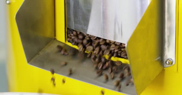 烘焙咖啡机的门打开 喷出烘焙过的地面 — 图库视频影像