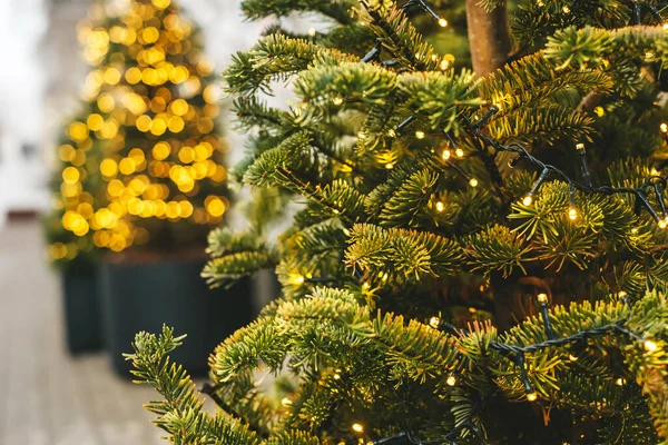 Kerstboom Decoratie Bloemenslinger Met Gouden Bokeh Bliksem Achtergrond Stockfoto