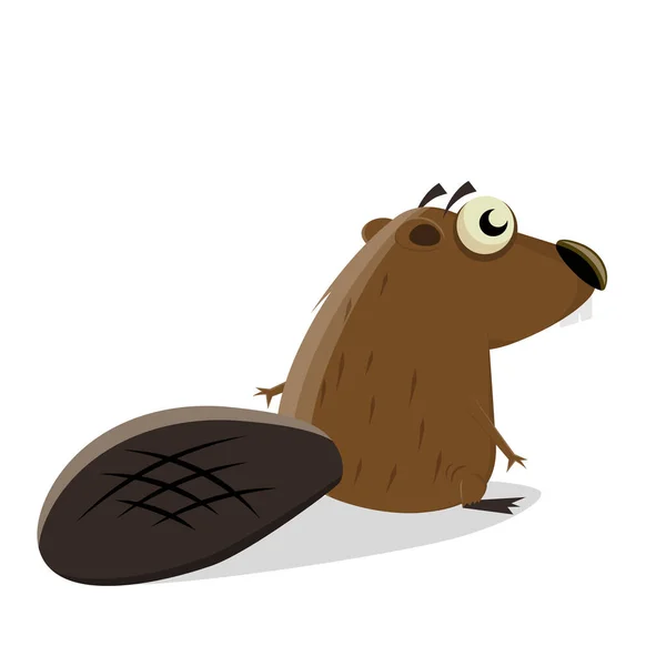 Backside Funny Cartoon Beaver — Stock Vector