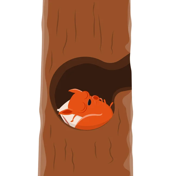Αστείο Σκίουρος Κινουμένων Σχεδίων Κοιμάται Μια Τρύπα Δέντρο — Διανυσματικό Αρχείο