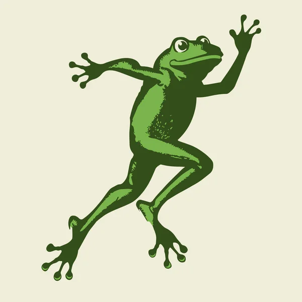 关于跳跃青蛙的复古卡通画 — 图库矢量图片