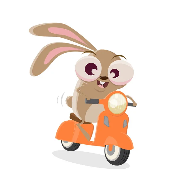 Lustige Karikatur Kaninchen Auf Einem Motorroller — Stockvektor