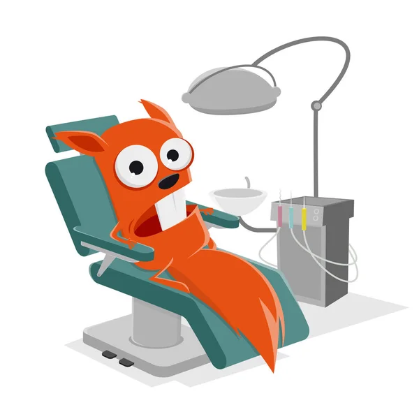 Funny Cartoon Squirrel Dentist — Stock Vector