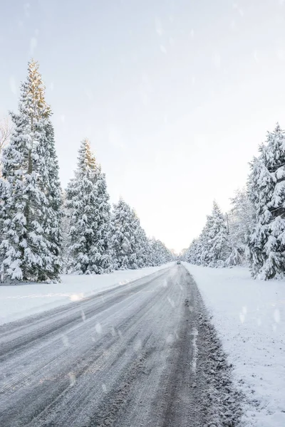 Winterliche Landstraße Mit Schneebedeckten Tannen Gesäumt Stockfoto
