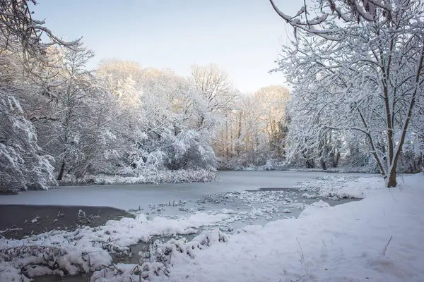 Gefrorener Teich Mit Schneebedeckten Bäumen Stockbild