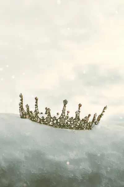 Декоративная Корона Снегу Лицензионные Стоковые Изображения