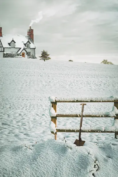 Snow Covered Fence Winter Country Cottage Christmas Tree Twinkling Lights — Stock Photo, Image