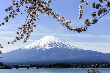 Tokyo, Japonya 'da o zamanlar kiraz çiçekleri açan Kawagichiko Gölü' ndeki Fuji Dağı 'nın güzel manzarası.