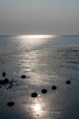Akşamları gün batımının güzel manzarası farklı ses tonlarıyla, genel amaçlar için iyidir..