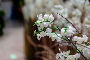 Kapalı ya da açık hava dekorasyonu için yapay çiçekler, farklı desen biçimleri, arkaplan ya da arkaplan ve genel amaçlar için kullanılır.