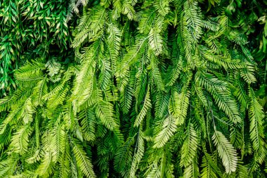 Kapalı ya da açık hava dekorasyonu için yapay çiçekler, farklı desen biçimleri, arkaplan ya da arkaplan ve genel amaçlar için kullanılır.