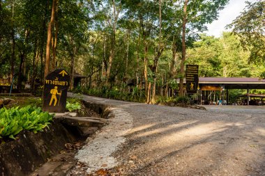 Phu Kradueng Tabelaları Yamaç, Şelale ve turistler için Loei, Tayland 'da Phu Kradueng' in tepesinde yürüyüş yeri.