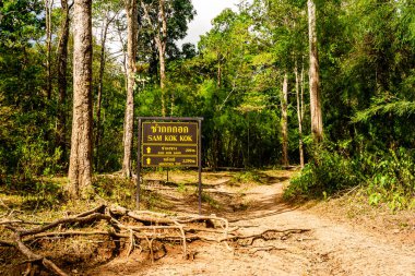 Phu Kradueng Tabelaları Yamaç, Şelale ve turistler için Loei, Tayland 'da Phu Kradueng' in tepesinde yürüyüş yeri.