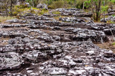 Phu Kradueng Ulusal Parkı, Loei Eyaleti, Tayland 'ın derin ormanlarındaki şelale çevresinde kayalar olan güzel yağmur ormanları..