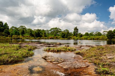 Phu Kradueng Ulusal Parkı, Loei Eyaleti, Tayland 'ın derin ormanlarındaki şelale çevresinde kayalar olan güzel yağmur ormanları..