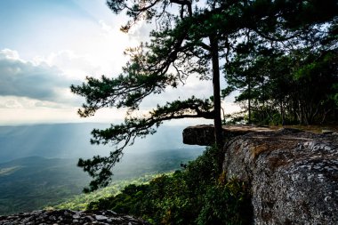 Phu Kradueng, turistlerin ilgi odağı olan Lom Sak Kayalıkları 'nda akşam günbatımının manzarası..