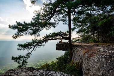 Phu Kradueng, turistlerin ilgi odağı olan Lom Sak Kayalıkları 'nda akşam günbatımının manzarası..