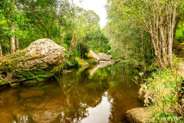 Phu Kradueng 'in tepesindeki ormanlık alana düşen su.