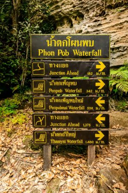 Phu Kradueng Tabelaları Yamaç, Şelale ve turistler için Loei, Tayland 'da Phu Kradueng' in tepesinde yürüyüş yeri.