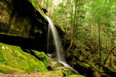 Phu Kradueng 'in tepesindeki ormanlık alana düşen su.
