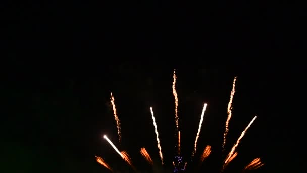 Spettacolo Fuochi Artificio Diversi Stili Modello Tono Colore Pattaya Thailandia — Video Stock