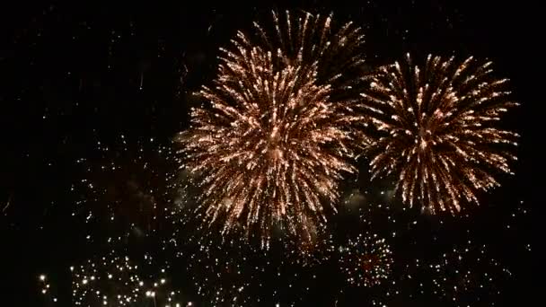 Fogos Artifício Mostram Diferentes Estilos Padrão Tom Cor Pattaya Tailândia — Vídeo de Stock