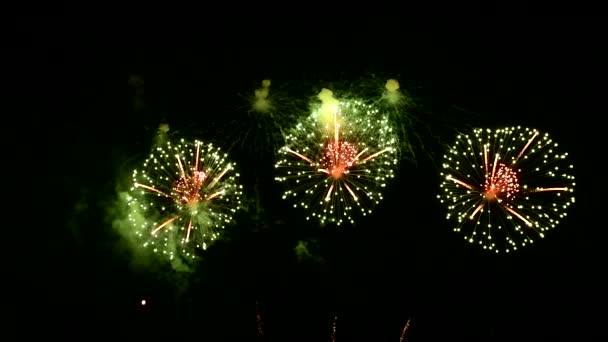 Fireworks Show Different Pattern Styles Color Tone Pattaya Thailand Nov — Stock Video