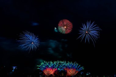 Gece karanlığında izole edilmiş bulanık kavramların altında havai fişek gösterisi, Tayland 'da 24-25 Kasım' da Pattaya 'da yapılacak Uluslararası Havai fişek Festivali için.