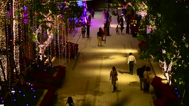 Bangkok Tailandia Diciembre 2023 Ambiente Temporada Navidad Nueva Tienda Departamental — Vídeos de Stock