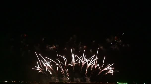 Feuerwerk Verschiedenen Musterstilen Und Farbtönen Pattaya Thailand Und November 2023 — Stockvideo