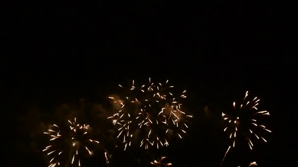 Fogos Artifício Mostram Diferentes Estilos Padrão Tom Cor Pattaya Tailândia — Vídeo de Stock