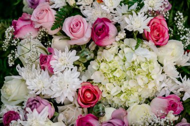 Arka plan dokusu olarak farklı renk stillerinde güzel çiçekler, seçici odak