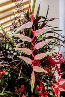 Güzel çiçek süslemeleri, çiçek arka planı, düğün dekorasyonu, gül deseni, renkli arka plan, bir demet çiçek..