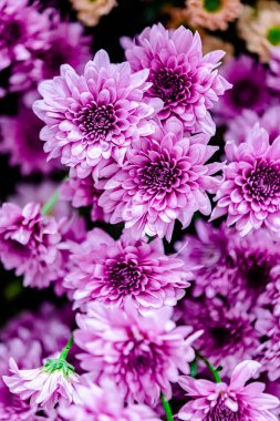 Güzel çiçek süslemeleri, çiçek arka planı, düğün dekorasyonu, gül deseni, renkli arka plan, bir demet çiçek.