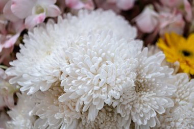 Güzel çiçek süslemeleri, çiçek arka planı, düğün dekorasyonu, gül deseni, renkli arka plan, bir demet çiçek.