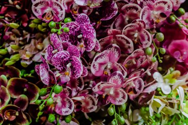 Kapalı alan ve açık hava dekorasyonları için farklı renk biçimlerinde suni çiçekler, bulanık arkaplan ile seçici odak