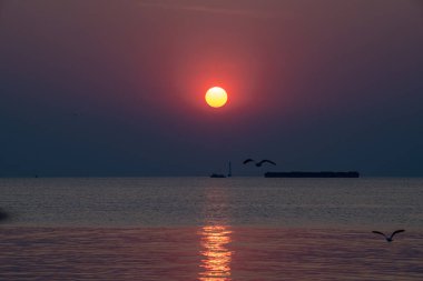 Akşamları, güzel arka planda ve alacakaranlık sahnesinde farklı tonlarda martılar güzel manzaralar boyunca uçar..