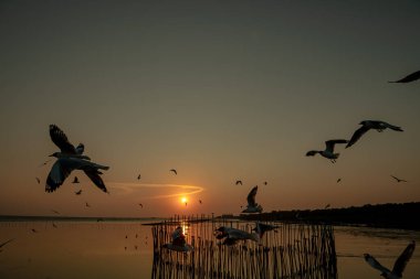 Akşamları gün batımının güzel manzarası farklı ses tonlarıyla, genel amaçlar için iyidir..