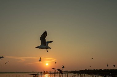 Akşamları gün batımının güzel manzarası farklı ses tonlarıyla, genel amaçlar için iyidir..