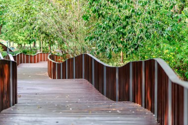 Vachirabenjatas Park ve Queen Sirikit Park 'taki iki parkı birbirine bağlayan güzel yürüyüş yolu ahşap köprü tasarımı..