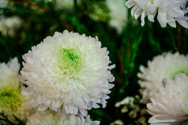 Güzel çiçek süslemeleri, çiçek arka planı, düğün dekorasyonu, gül deseni, renkli arka plan, bir demet çiçek.