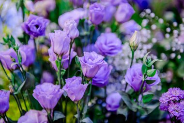 Güzel çiçek süslemeleri, çiçek arka planı, düğün dekorasyonu, gül deseni, renkli arka plan, bir demet çiçek.