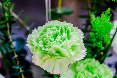 Güzel çiçek süslemeleri, çiçek arka planı, düğün dekorasyonu, gül deseni, renkli arka plan, bir demet çiçek.