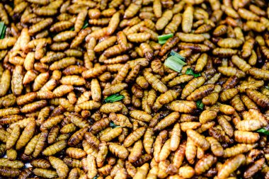 Tayland 'da sokak yemeklerinde satılan çeşitli malzemelerle karışık haşlanmış böcekler..