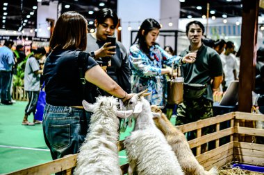 QSNCC 'de Tayland' daki Hayvan Fuarı 'nda. Ziyaretçiler, alışveriş için kendi hayvanlarını getirebiliyor ve şovdaki diğer evcil hayvanlarla eğlenebiliyorlar. Bangkok, Tayland. - 1 Mayıs 2025.