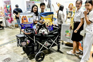 QSNCC 'de Tayland' daki Hayvan Fuarı 'nda. Ziyaretçiler, alışveriş için kendi hayvanlarını getirebiliyor ve şovdaki diğer evcil hayvanlarla eğlenebiliyorlar. Bangkok, Tayland. - 1 Mayıs 2025.